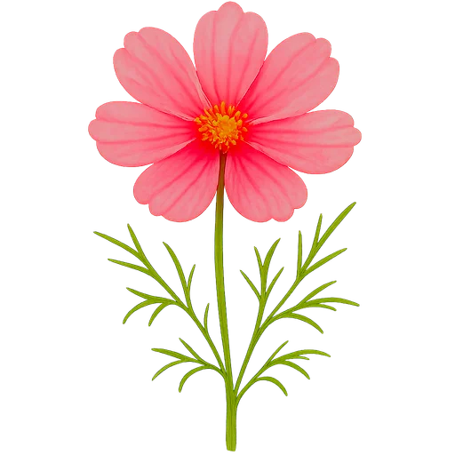 Cosmos