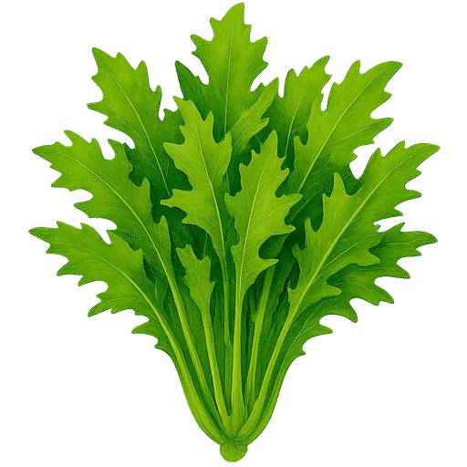 Mizuna