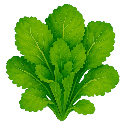 Mustard Greens
