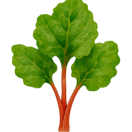 Rhubarb