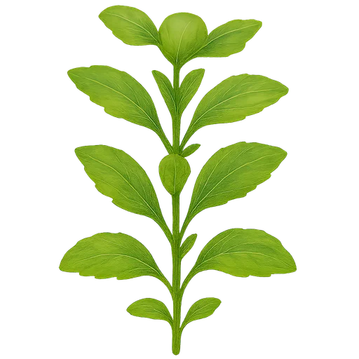 Stevia