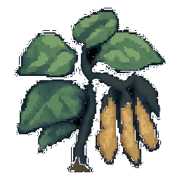 Bush Bean
