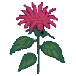 Bee Balm