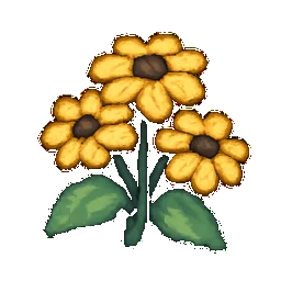 Black-Eyed Susan