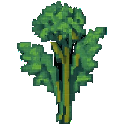 Broccoli Rabe
