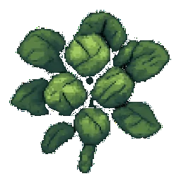 Brussels Sprouts