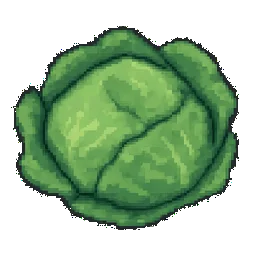 Cabbage