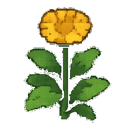 Calendula