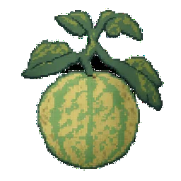 Cantaloupe