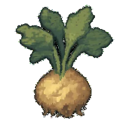 Celeriac