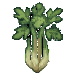 Celery