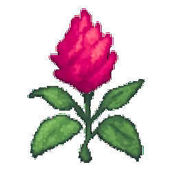 Celosia