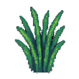 Chives
