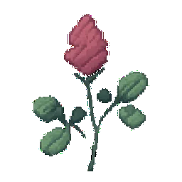Crimson Clover
