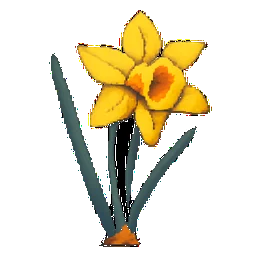 Daffodil