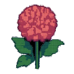 Dahlia