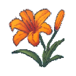 Daylily