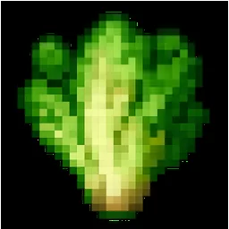 Endive