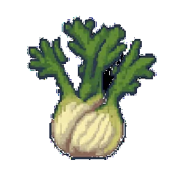 Florence Fennel