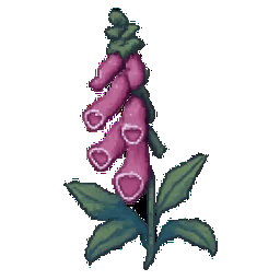 Foxglove