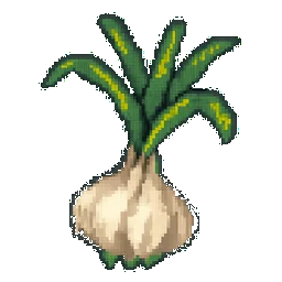 Garlic