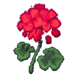 Geranium