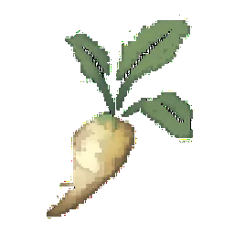 Horseradish