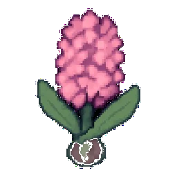 Hyacinth