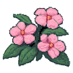 Impatiens