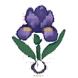 Iris