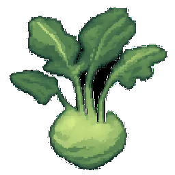 Kohlrabi