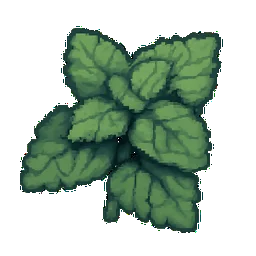 Lemon Balm