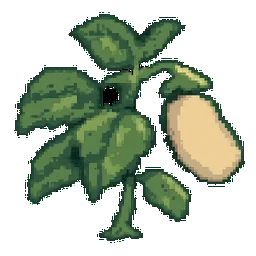 Lima Bean