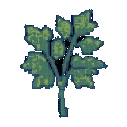 Lovage