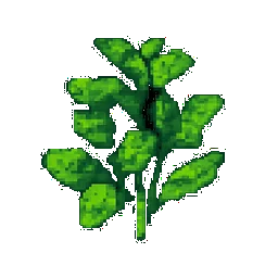 Marjoram
