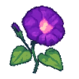 Morning Glory