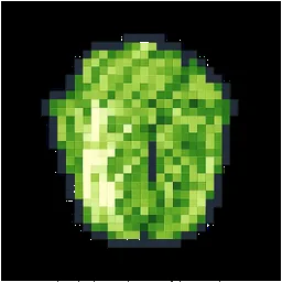 Napa Cabbage