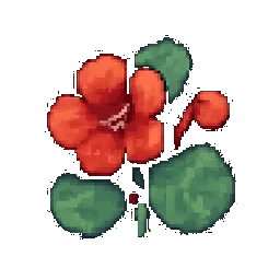 Nasturtium