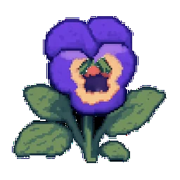 Pansy
