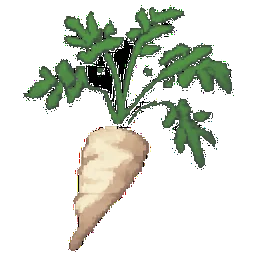 Parsnip