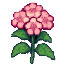 Phlox