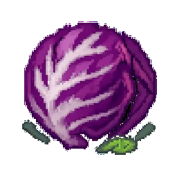 Radicchio
