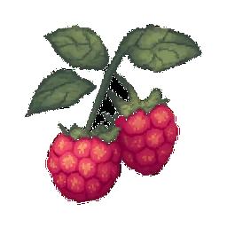 Raspberry