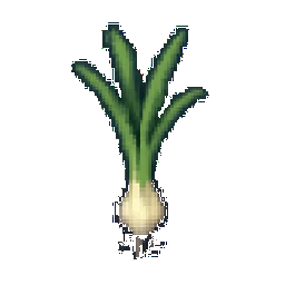 Scallion