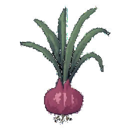 Shallot