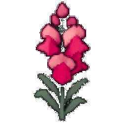 Snapdragon