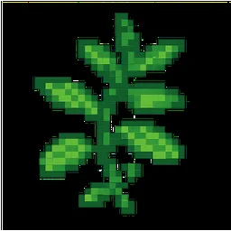 Summer Savory