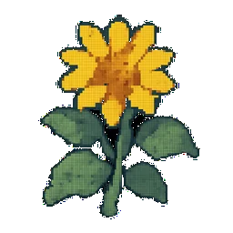 Sunchoke (Jerusalem Artichoke)