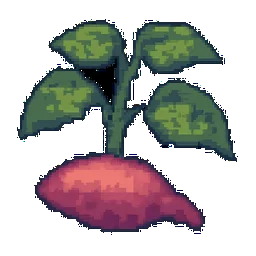 Sweet Potato