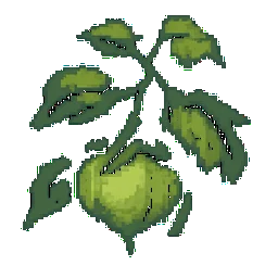 Tomatillo